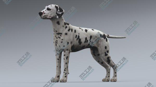 images/goods_img/20210312/Dalmatian 3D model/3.jpg